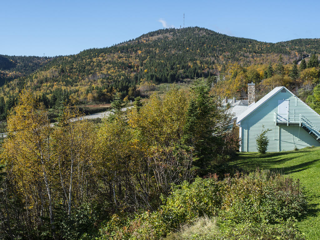 Au Pic De L'Aurore Motel-Chalets Percé Exterior foto